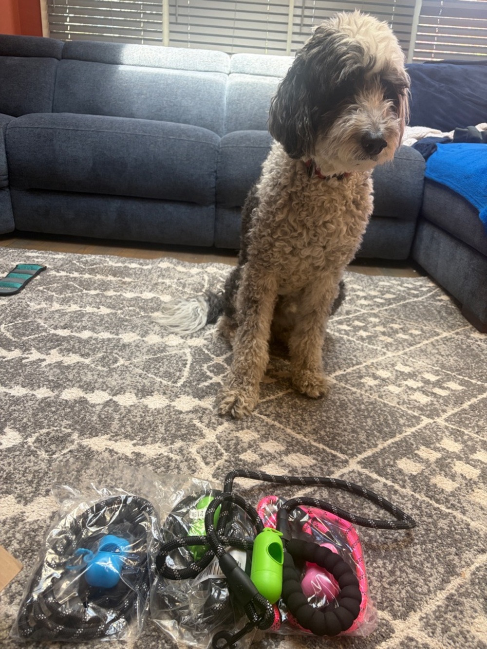 Dog Rope Leash and poo bag holder also bone/water bowl Pink, Green, Black Pick.